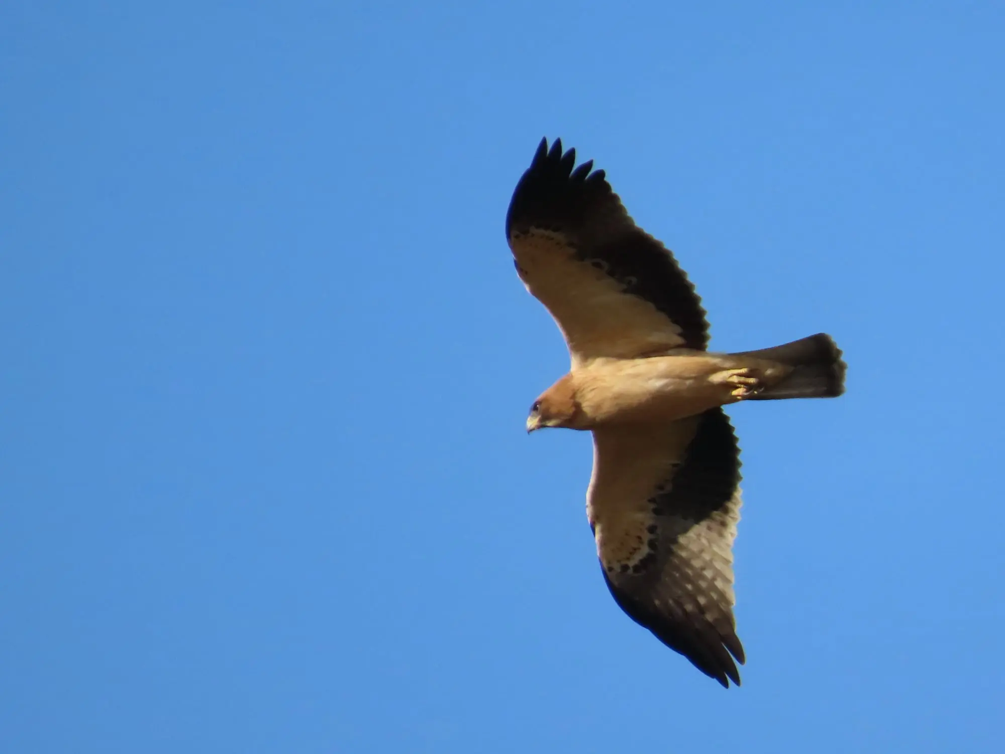 Senda del embalse de Linares