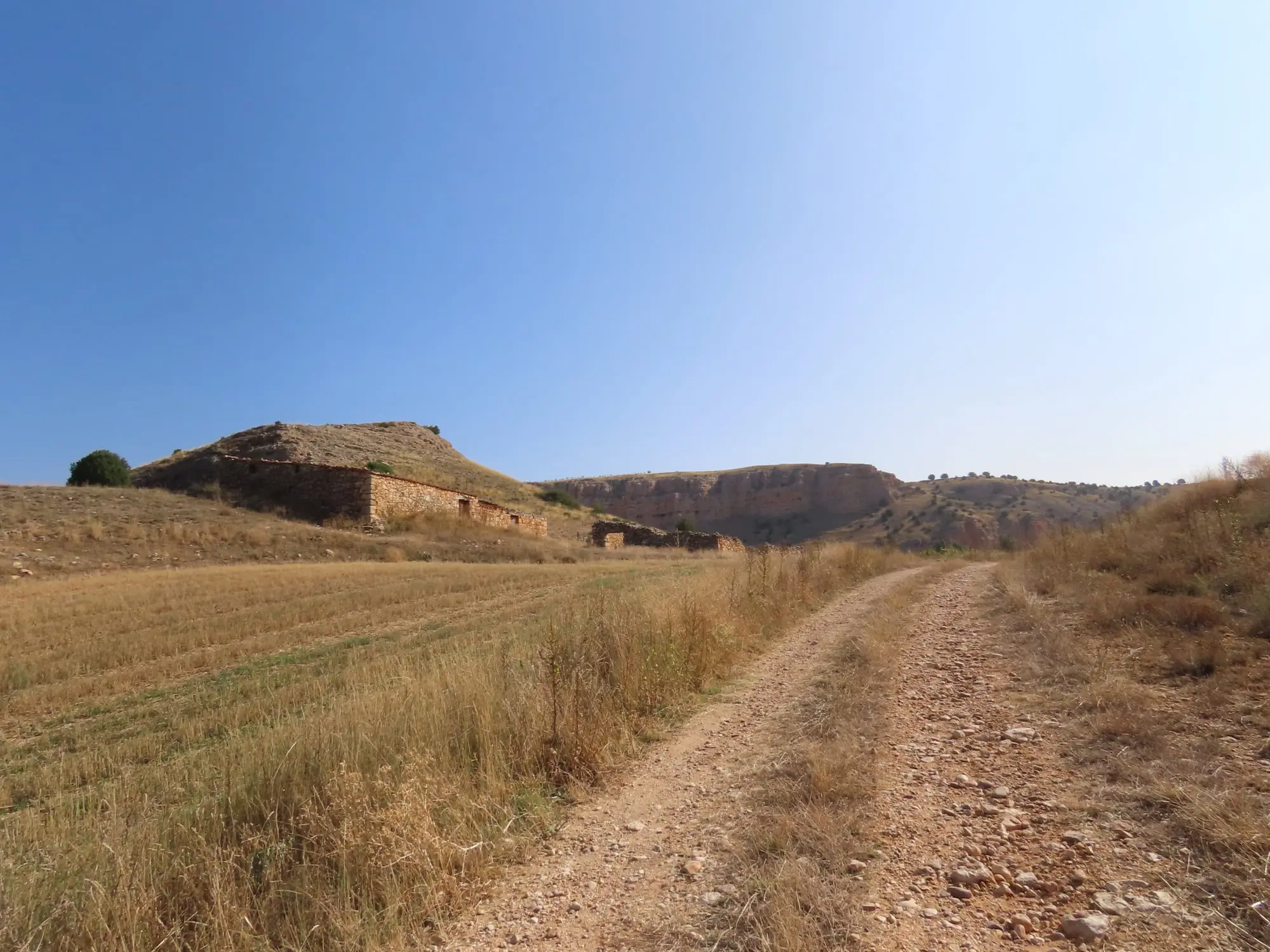 Hoces del río Riaza: la senda del río y sus buitres