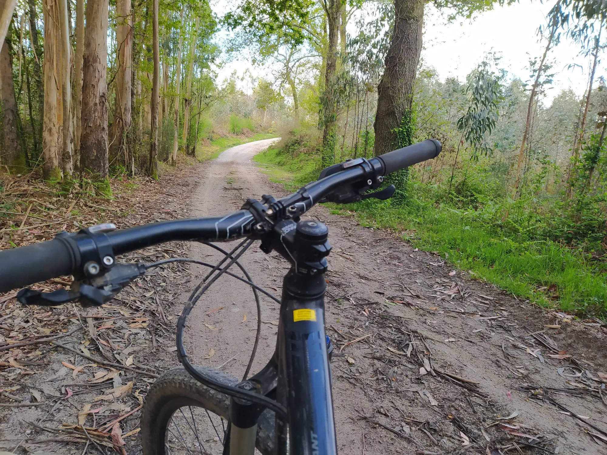 SM-15 Montes do Gato