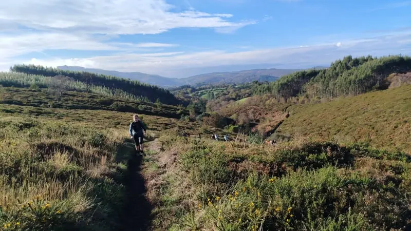 Trail das bestas 2025