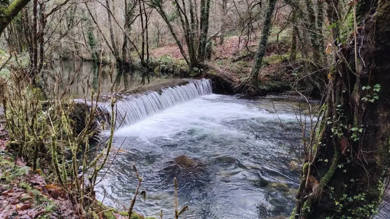Sendeiro do río Castro