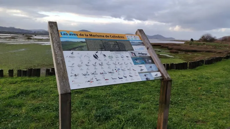 Parquer Natural de las marismas de Santoña, Victoria y Joyel
