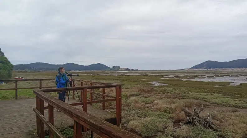 Parquer Natural de las marismas de Santoña, Victoria y Joyel