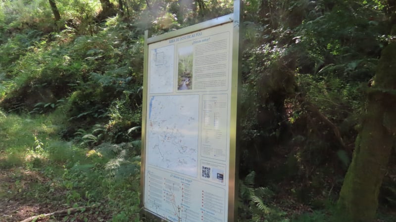 SM 08
