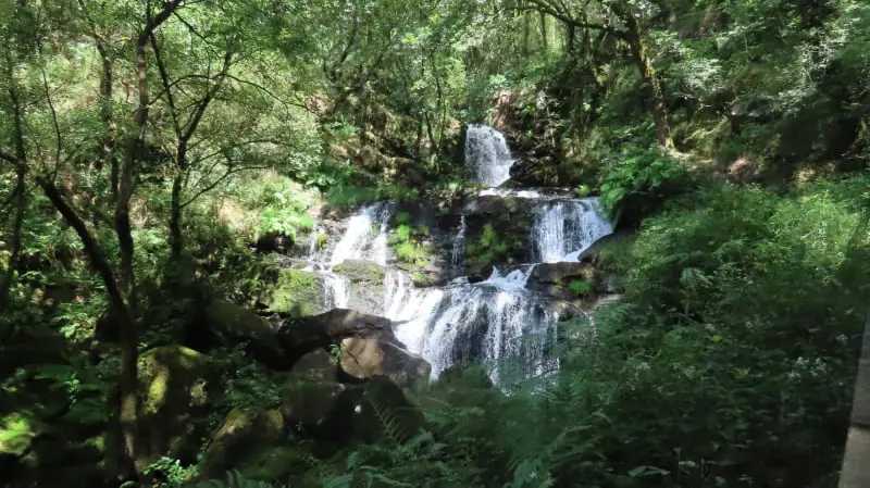 PR-G 202: Fervenza da Rexedoira