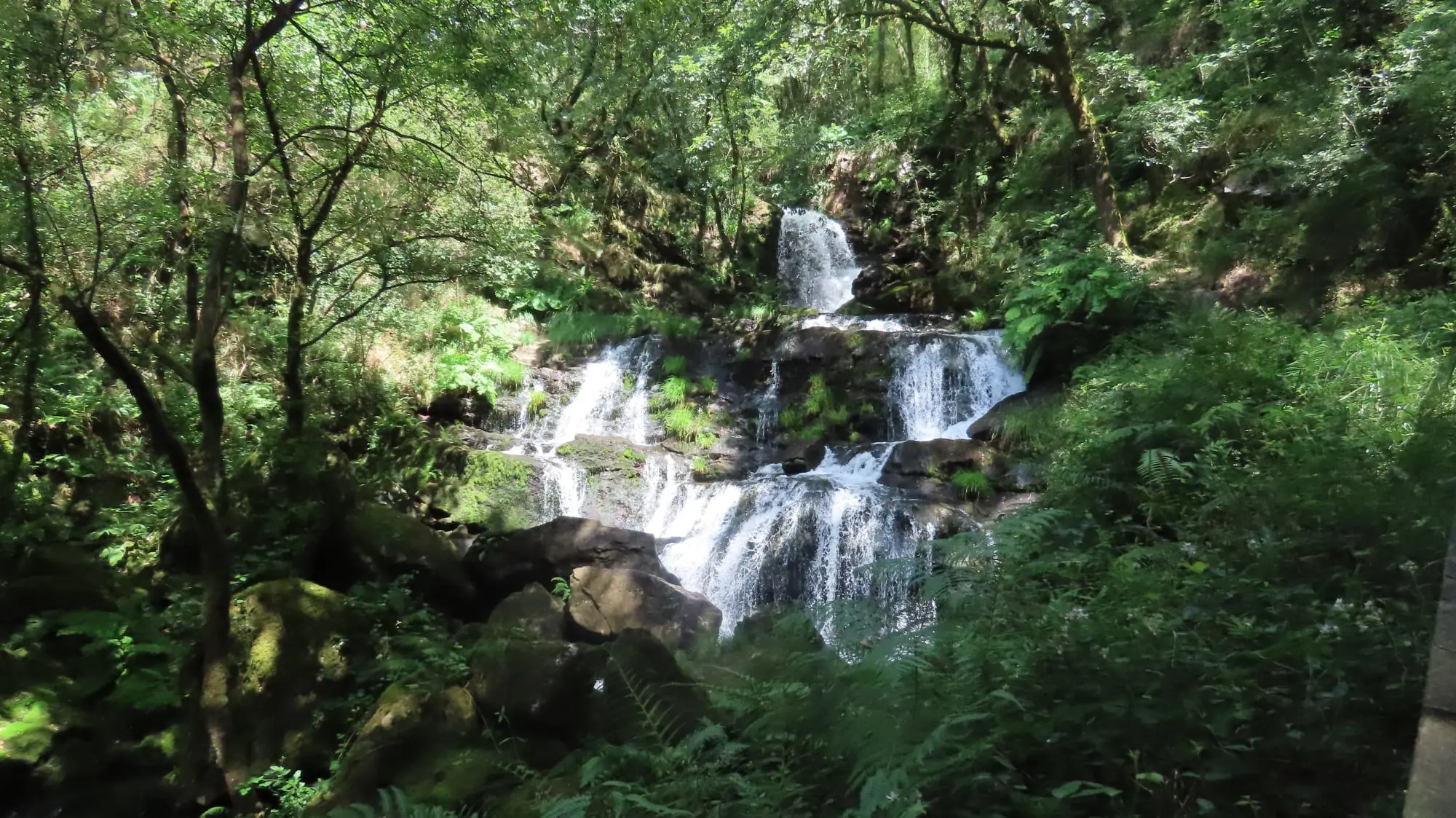 PR-G 202: Fervenza da Rexedoira