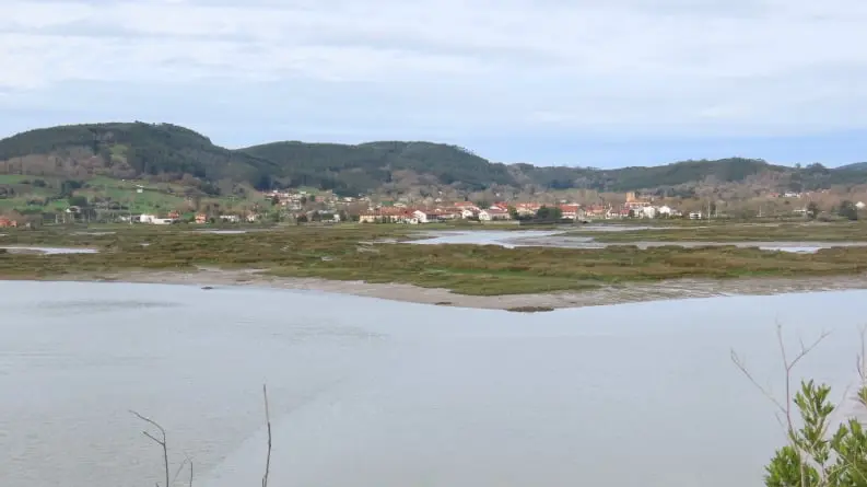 Parquer Natural de las marismas de Santoña, Victoria y Joyel