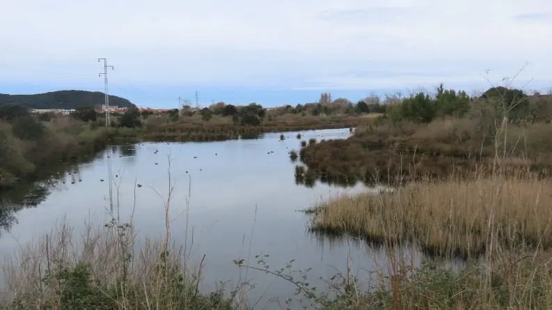 Parquer Natural de las marismas de Santoña, Victoria y Joyel