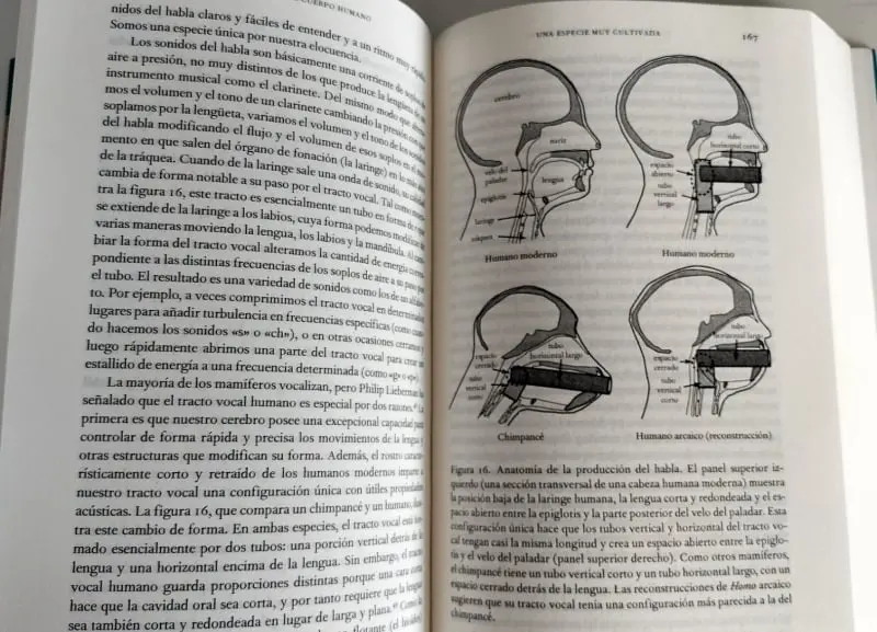 La historia del cuerpo humano