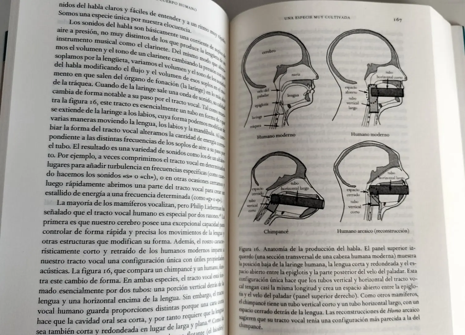 La historia del cuerpo humano