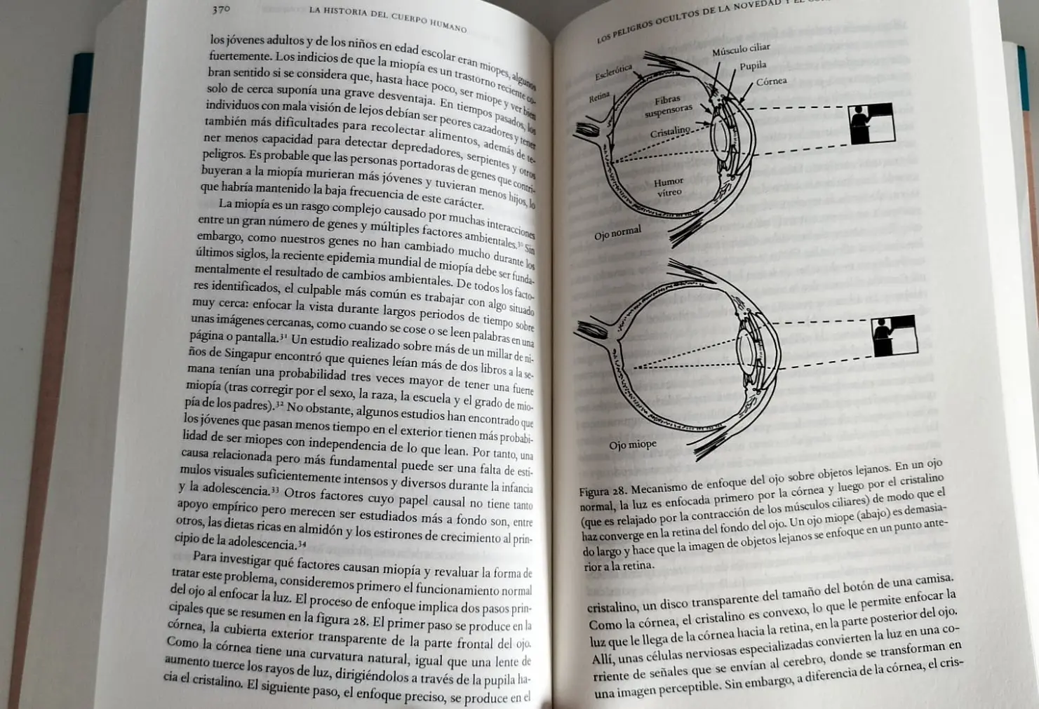 La historia del cuerpo humano