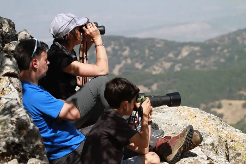 Observación de naturaleza