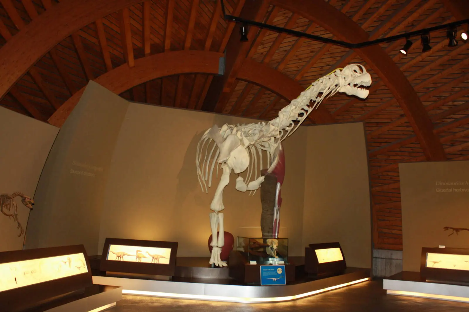 Centros de interpretación