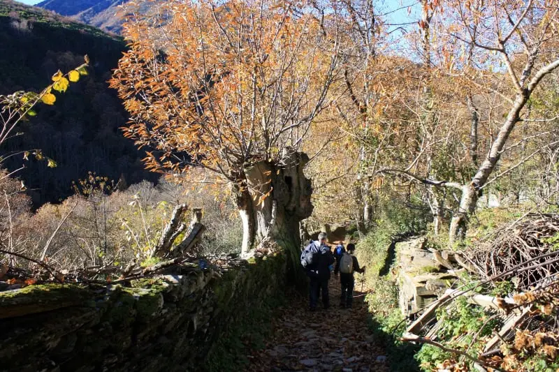 Paderne y la devesa de A Escrita