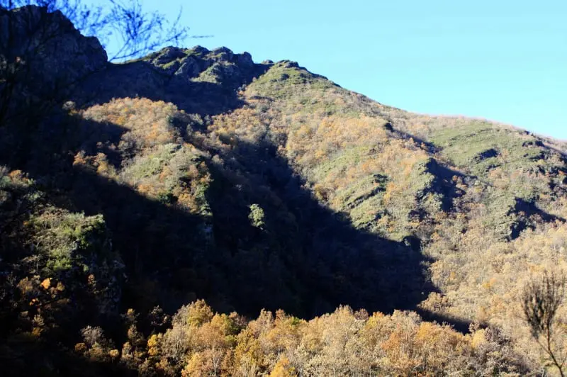 Paderne y la devesa de A Escrita