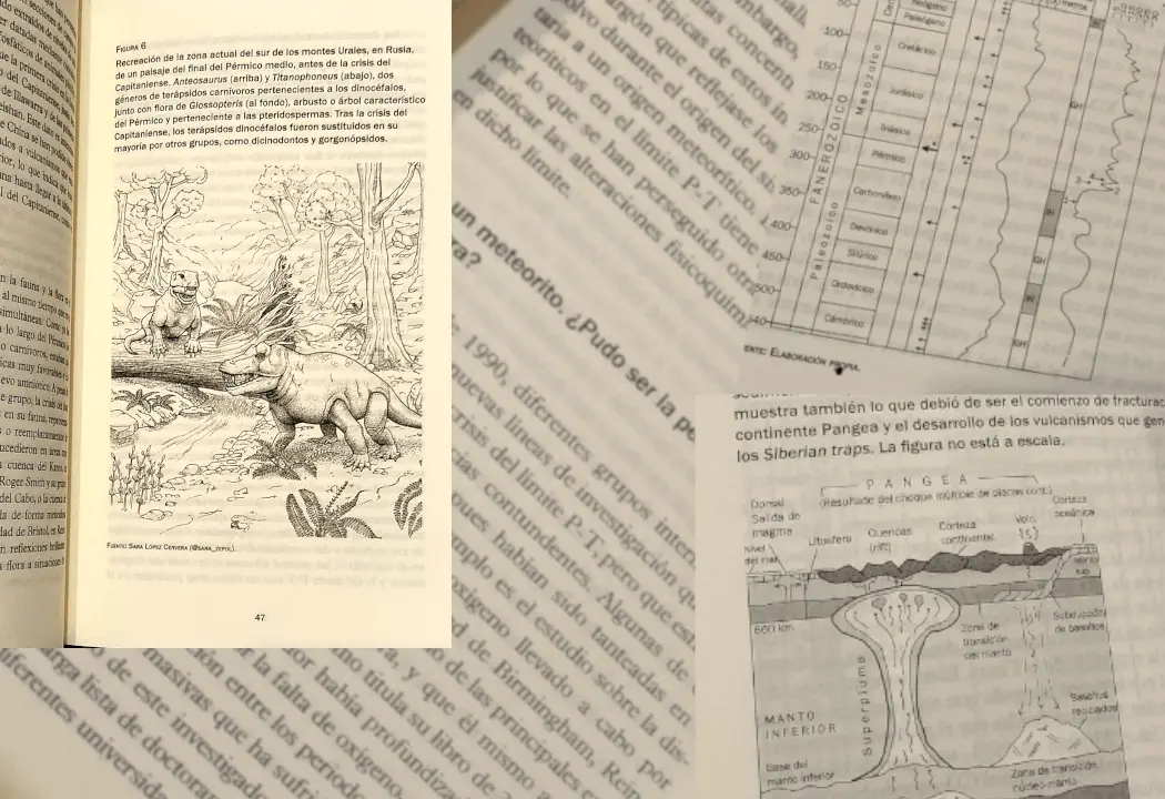 La vida al borde del abismo