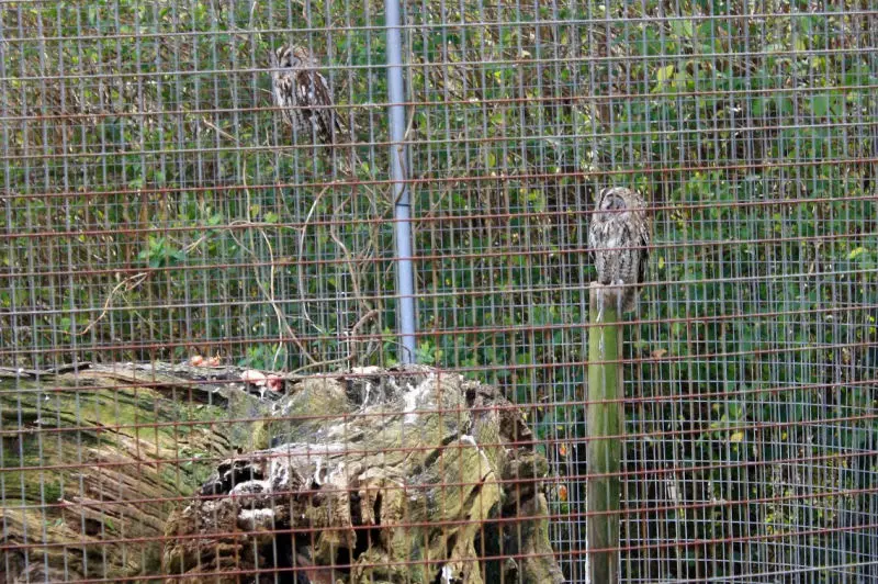 El parque de la vida