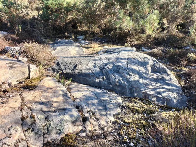 Petroglifos de Arteixo