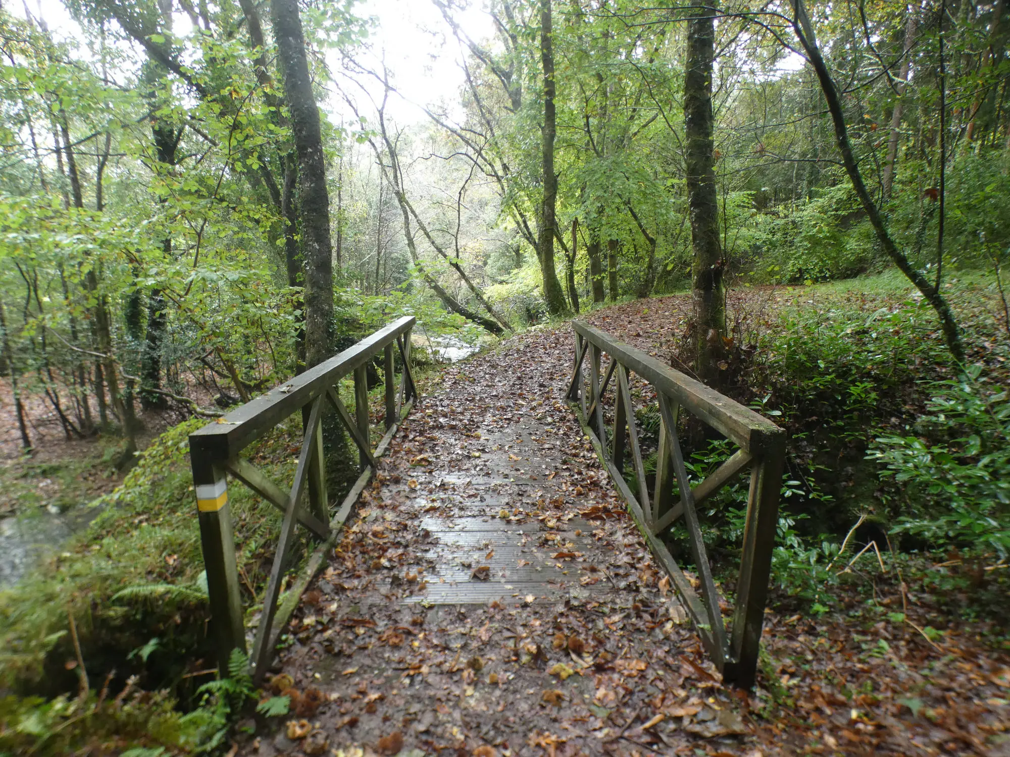 Ponte Segade-Augas Caidas