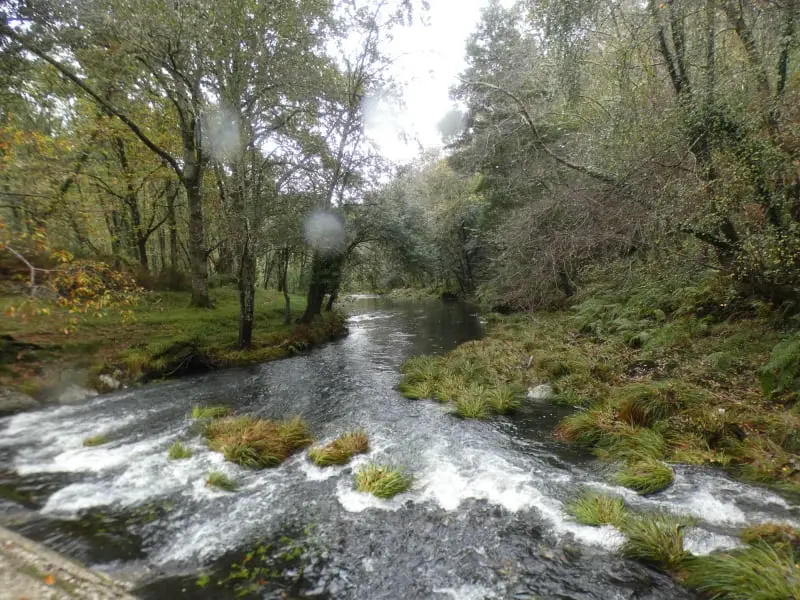 Río Sor (Mañón, A Coruña)