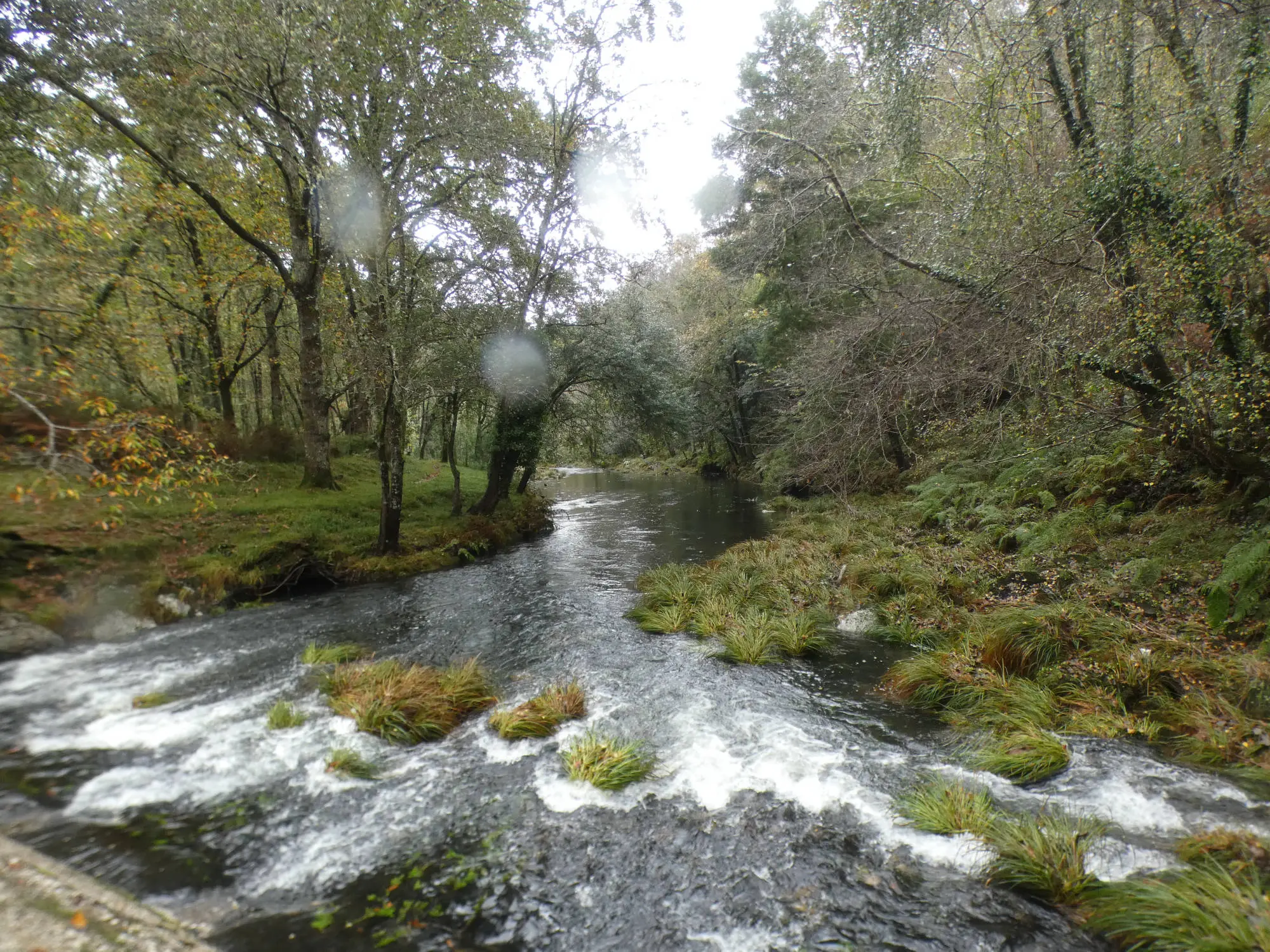 Río Sor (Mañón, A Coruña)