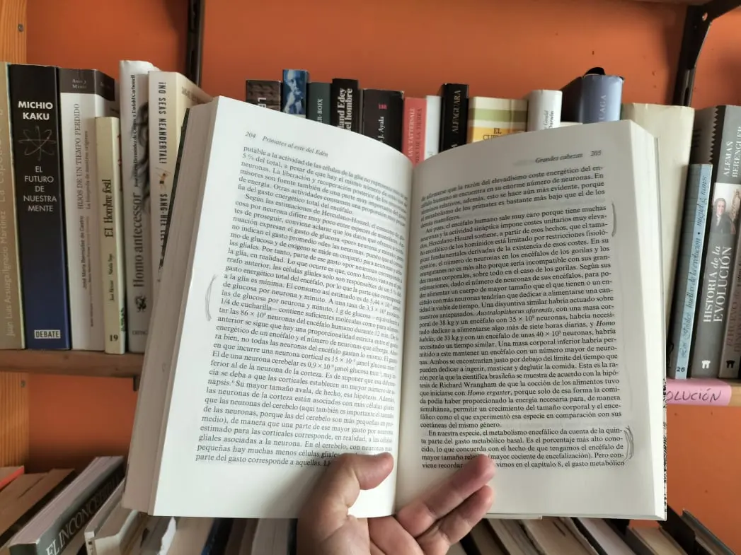 Primates al este del Edén