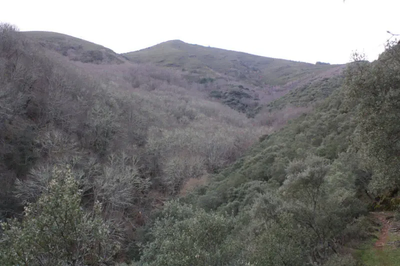 Mustallar, Serra de Ancares (Lugo)
