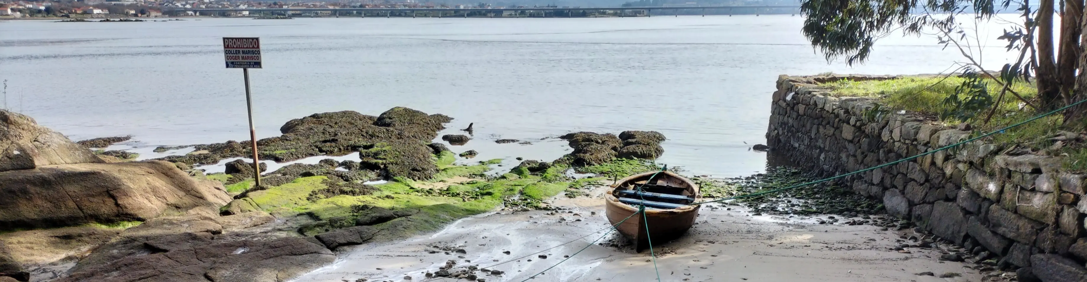 Ruta dos carpinteiros cos pés mollados