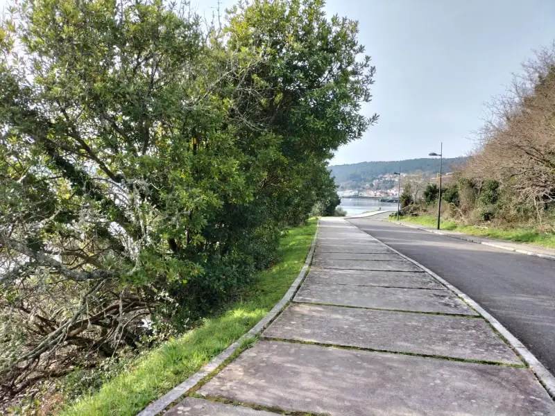 Ruta dos carpinteiros cos pés mollados