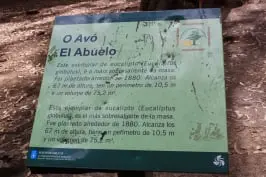 Souto da Retorta
