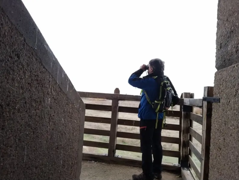 Torre de Prado Ancho (Tablas de Daimiel)