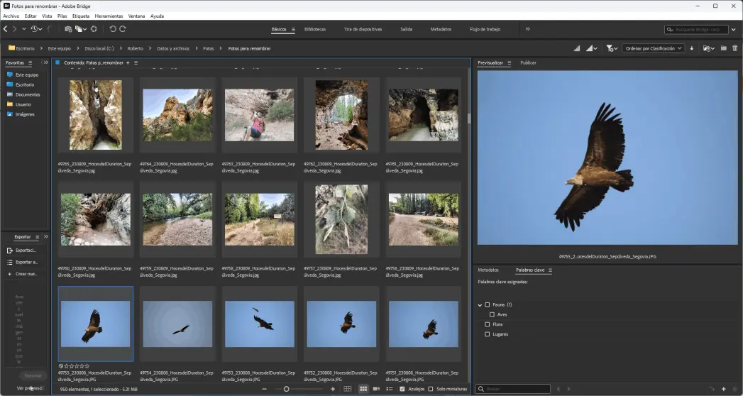 Cómo pasa el tiempo