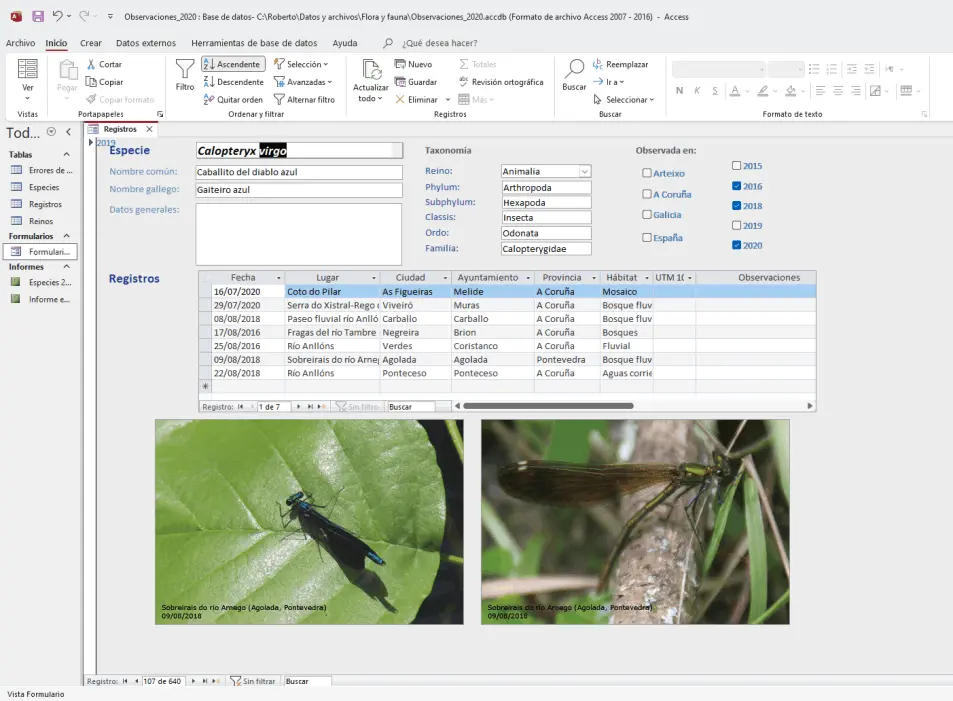 Cómo pasa el tiempo