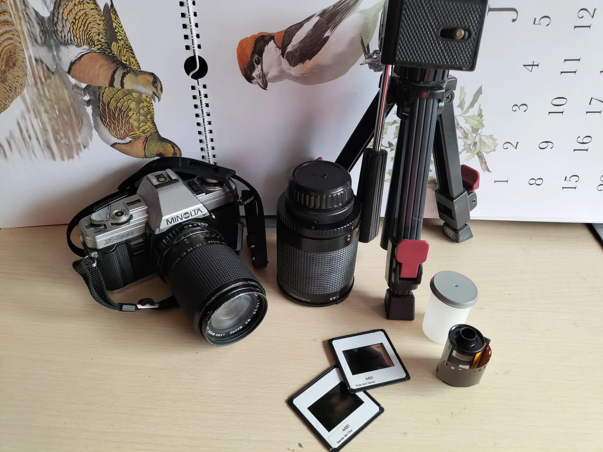 Cómo pasa el tiempo