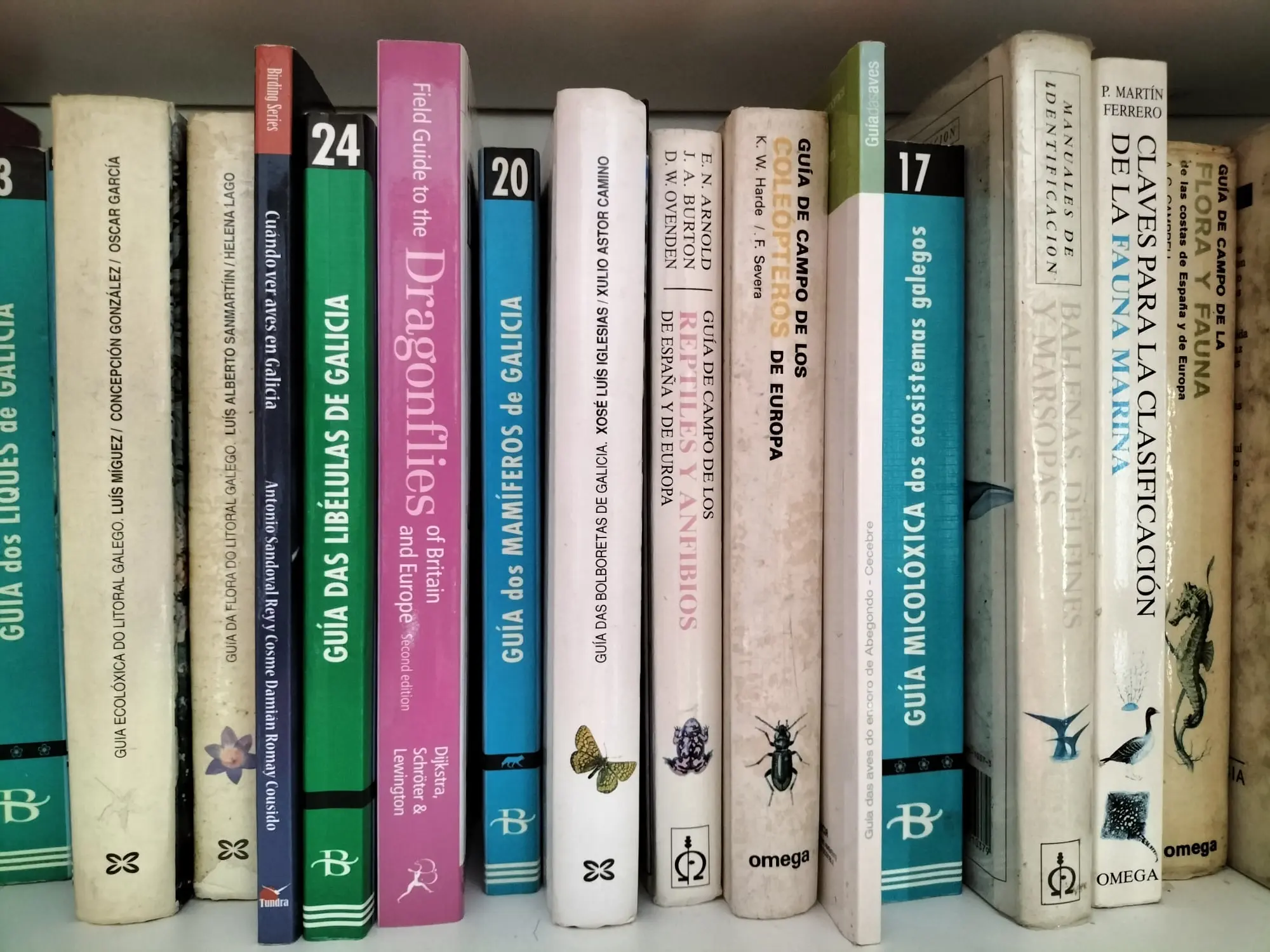 Cómo pasa el tiempo