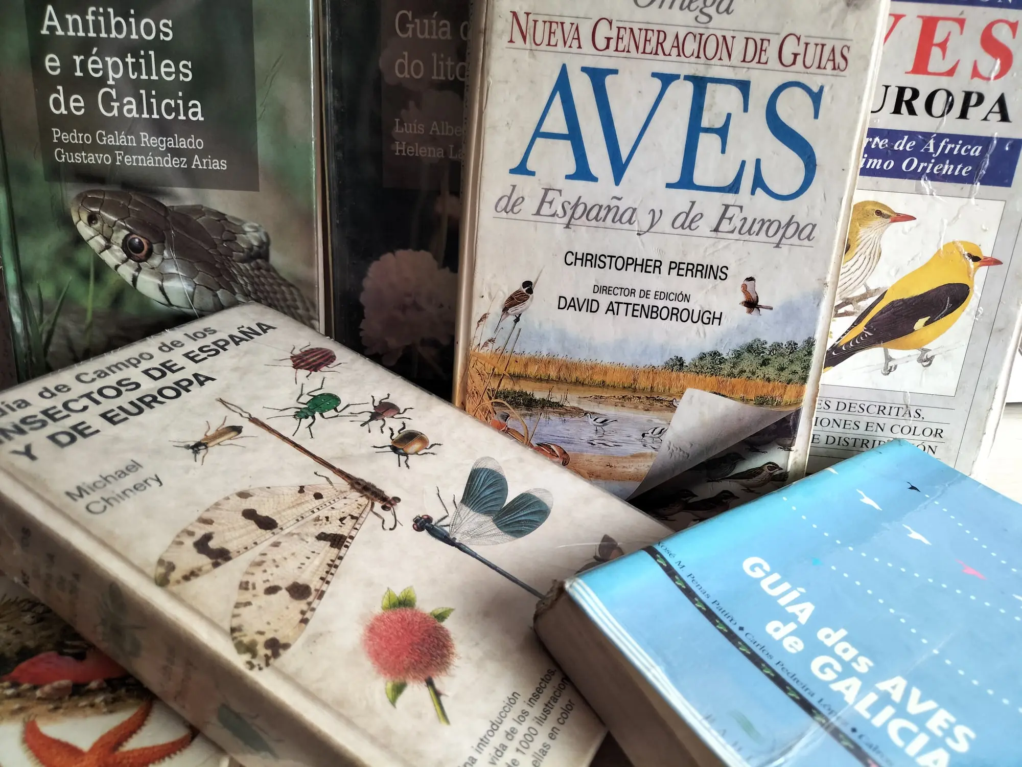 Cómo pasa el tiempo