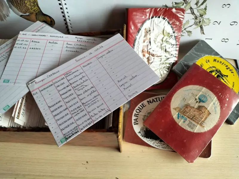 Cómo pasa el tiempo