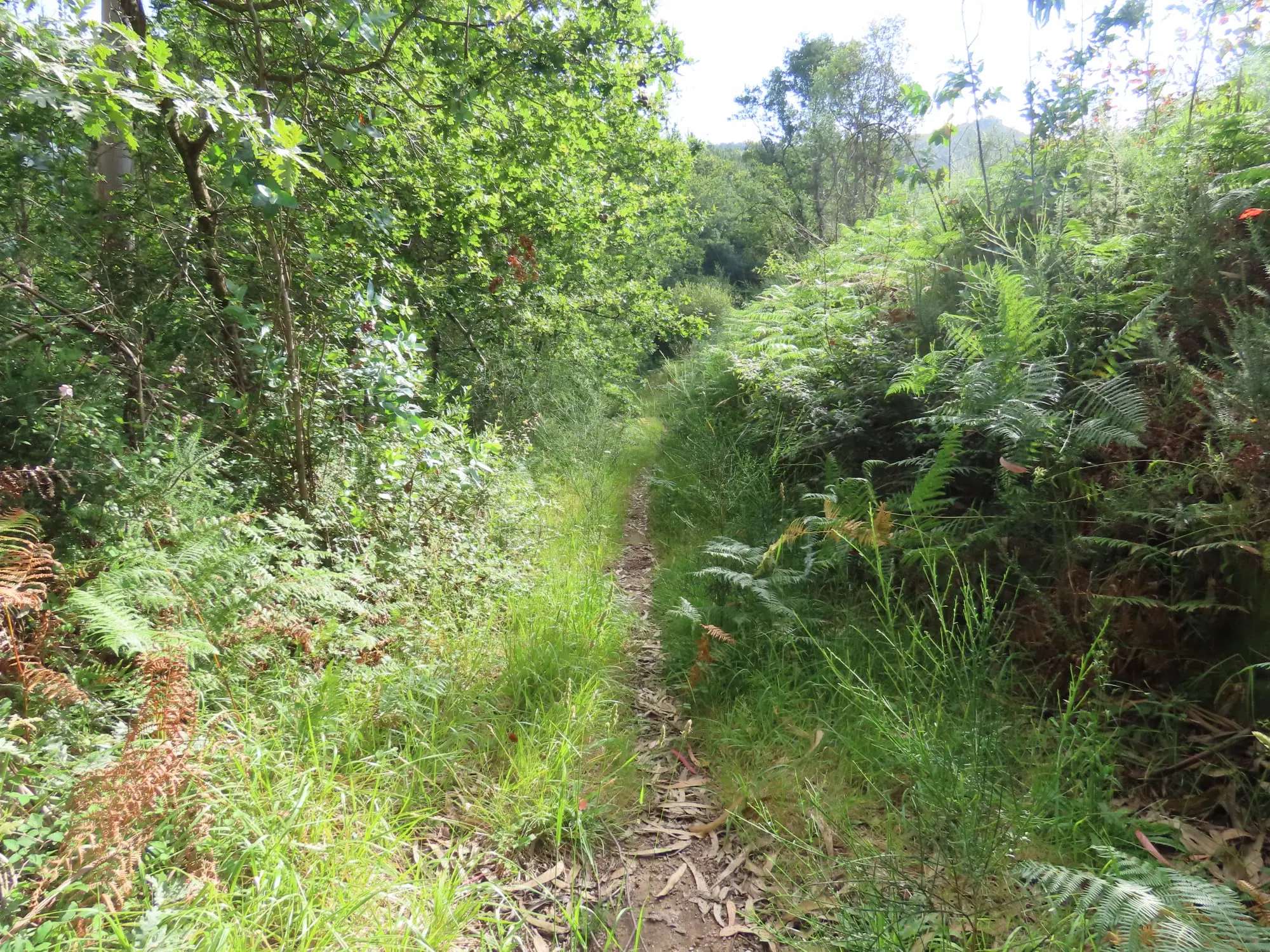 Encoro de O Con a Monte Xiabre